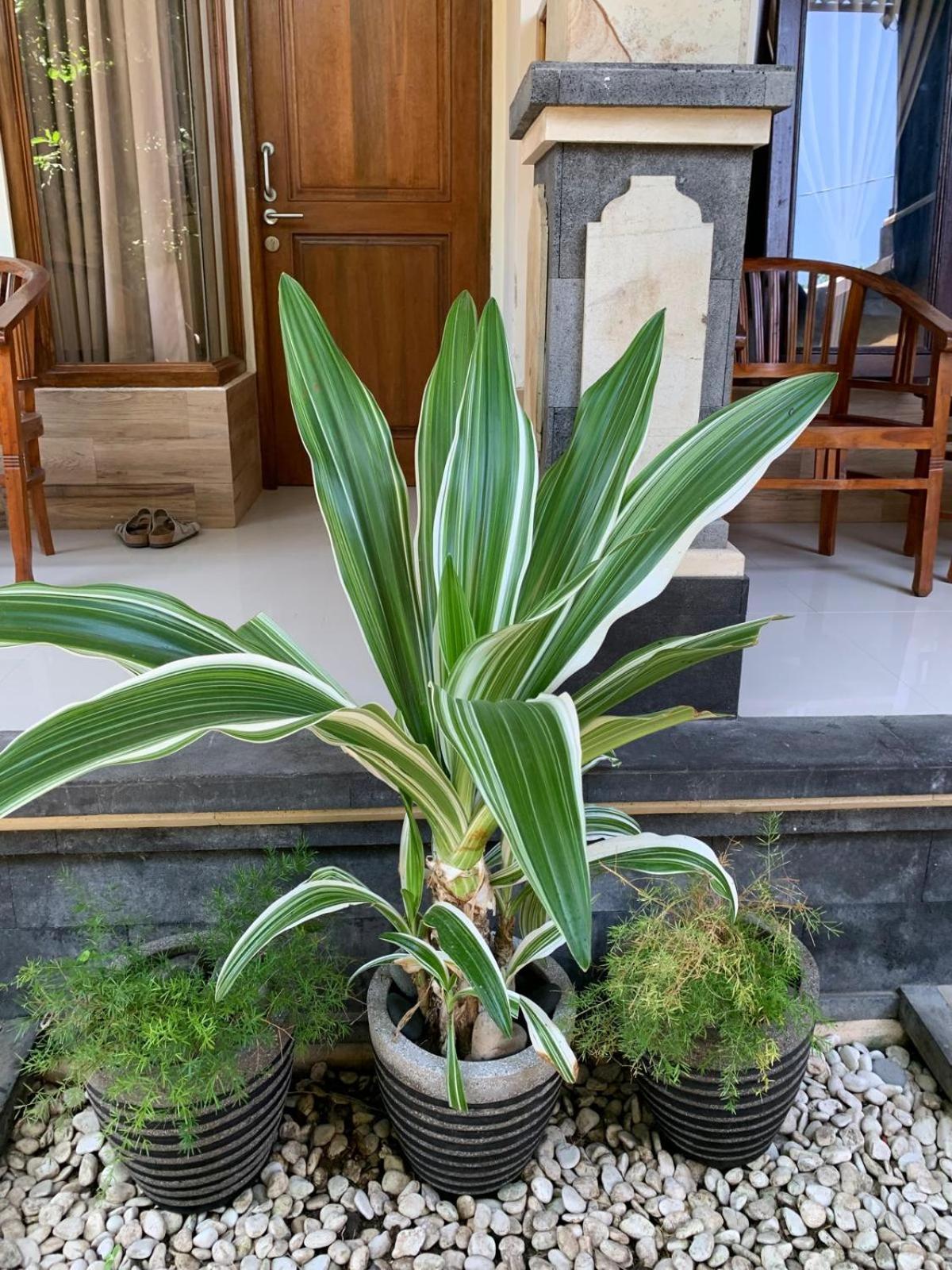 Jepun Inn Padangbai  Exterior foto